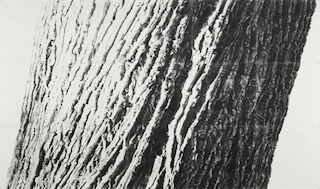 calendar sandra allen ballast 2009 graphite on paper