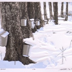 Taste of place: The terroirs of Vermont maple syrup
