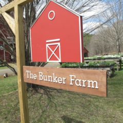 Expect the extraordinary: A new generation of farmers at The Bunker Farm