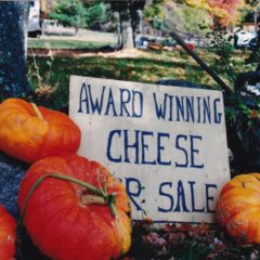 Pumpkin Festivals